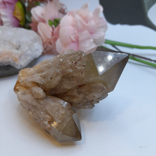 Citrine - Smoky Citrine cascading congo