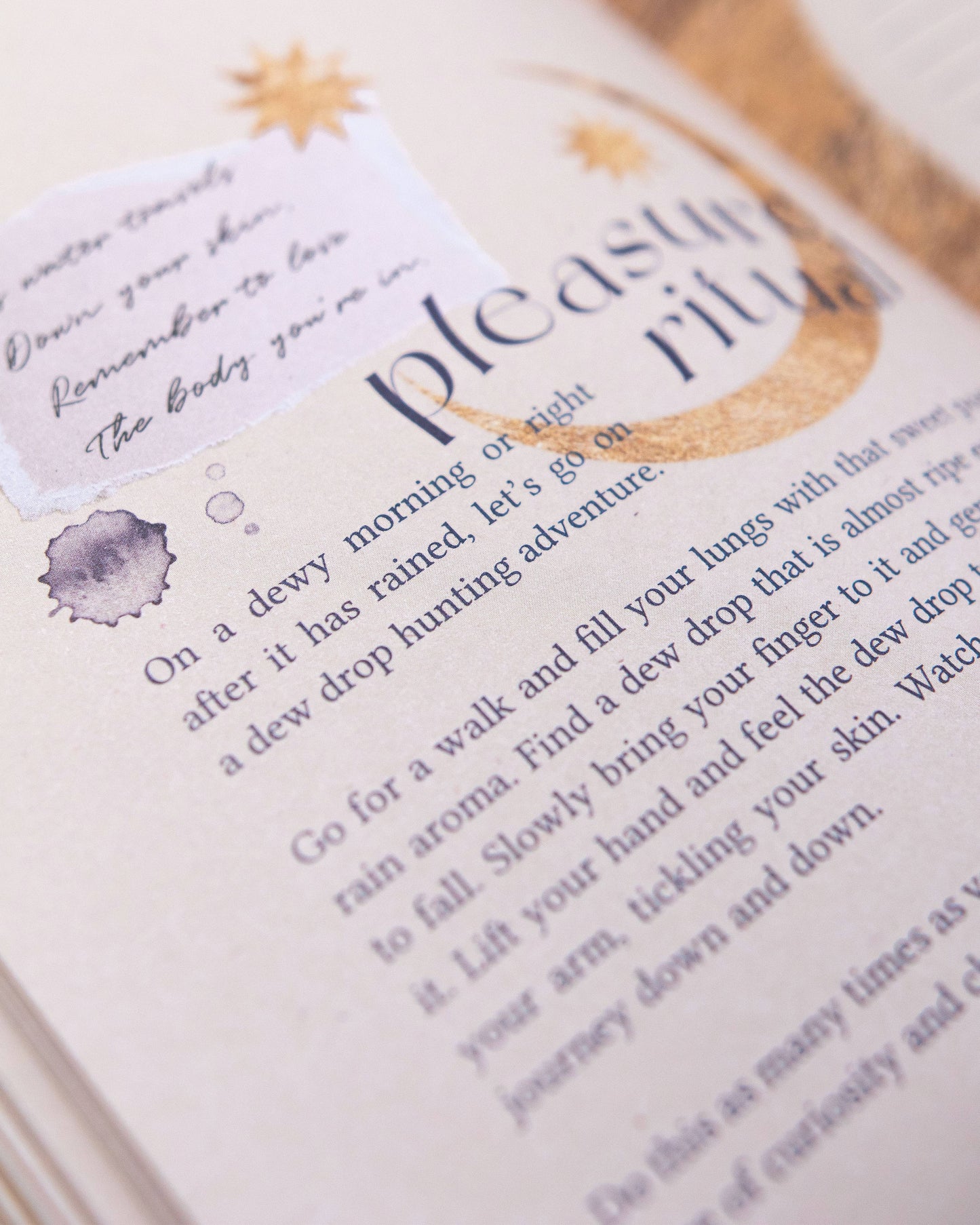 Aphrodite's Journal Ruby Cloth-Bound and Gold Foil Adorned