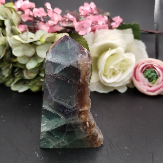 Fluorite Half Polished Point