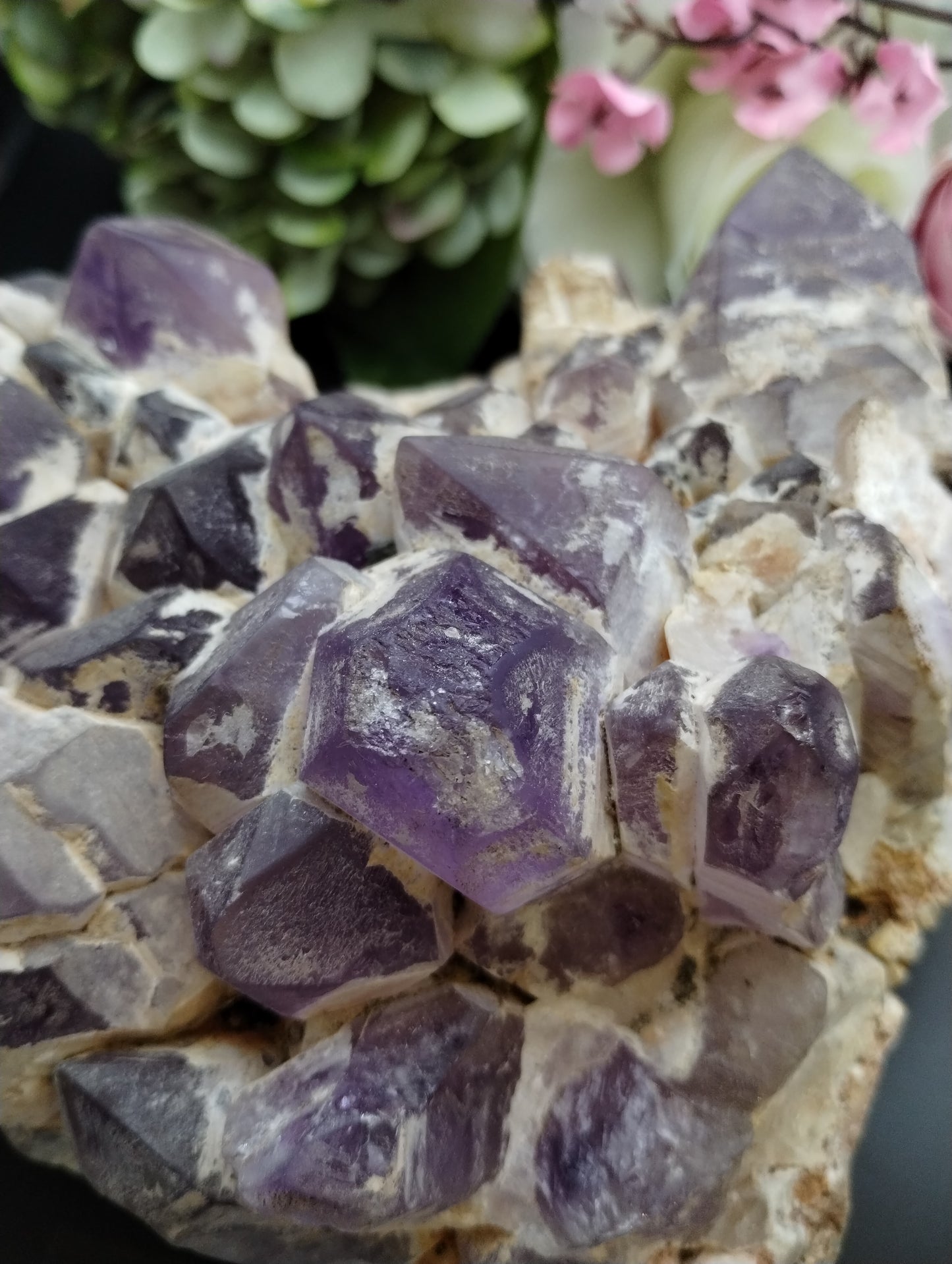 Amethyst Cluster