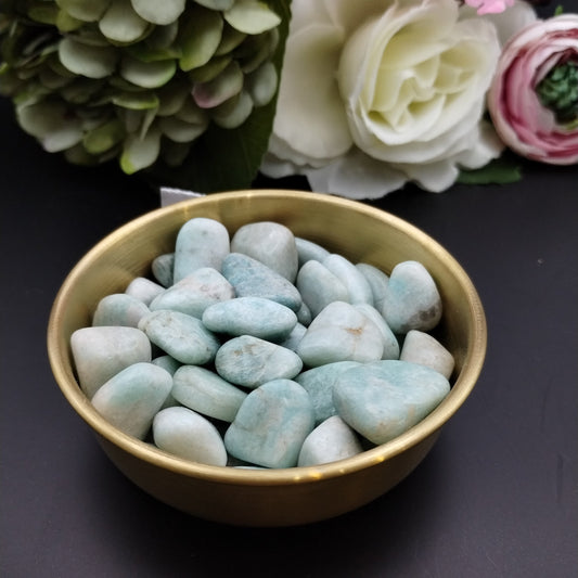 Amazonite Tumble Stone Small